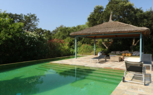 Villa for sale Sotogrande Alto Reference V1531