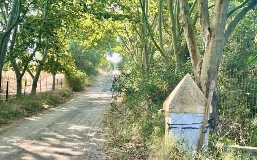 Country House for sale Sotogrande Costa Reference 327-01329P-DUP