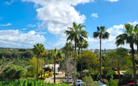 Parcela en venta Sotogrande Alto - Referencia 327-01297P25