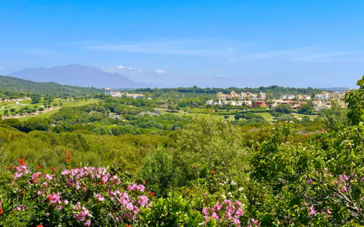 Parcela en venta Sotogrande Alto - Referencia 327-01255P